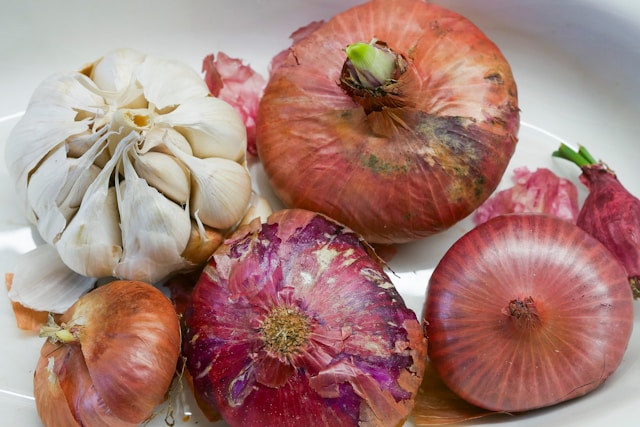 5-lebensmittel-die-deinem-hund-schaden