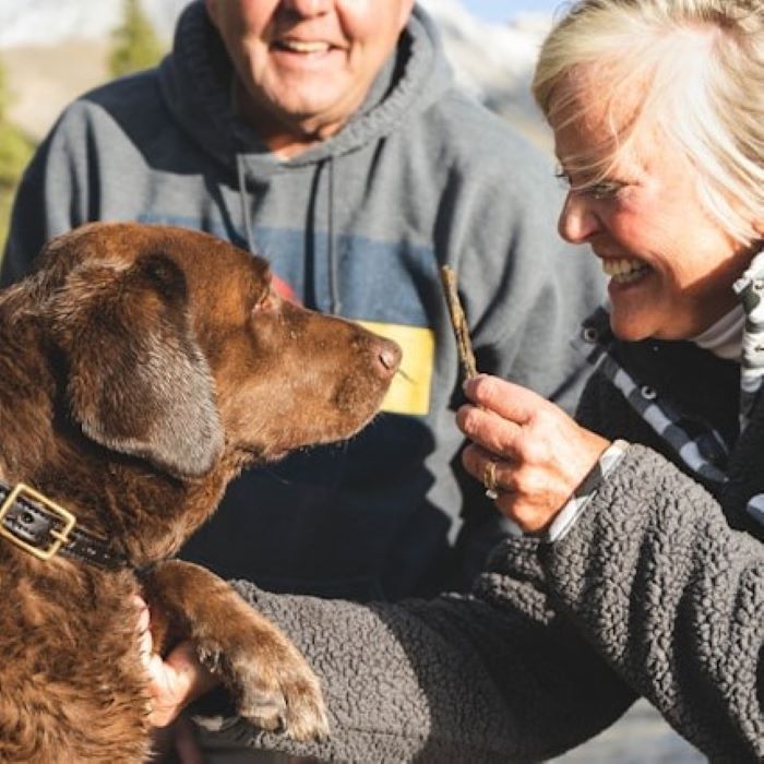 5-lebensmittel-die-deinem-hund-schaden