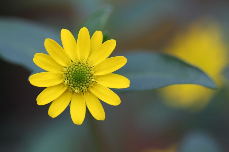 sag-mir-deine-lieblingsfarbe-und-ich-sage-dir-wer-du-bist