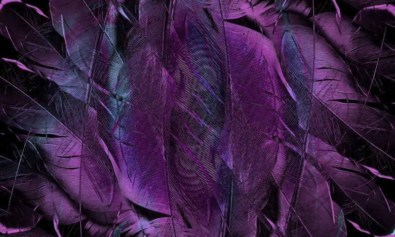 sag-mir-deine-lieblingsfarbe-und-ich-sage-dir-wer-du-bist
