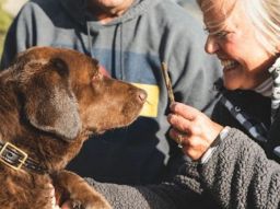 5-lebensmittel-die-deinem-hund-schaden